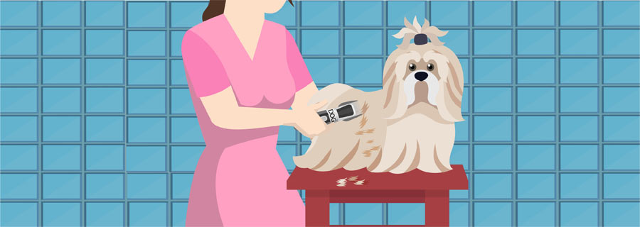 How to Groom a Shih Tzu With Clippers