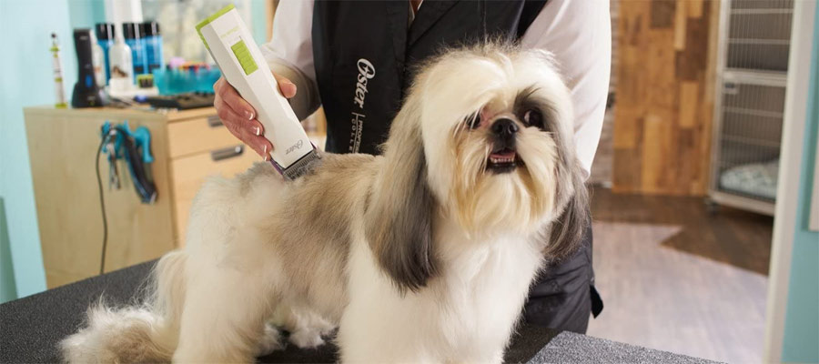 Best Cordless Dog Clippers